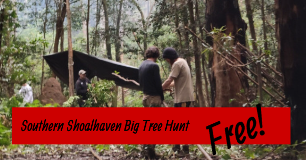 The Wild Life Collective